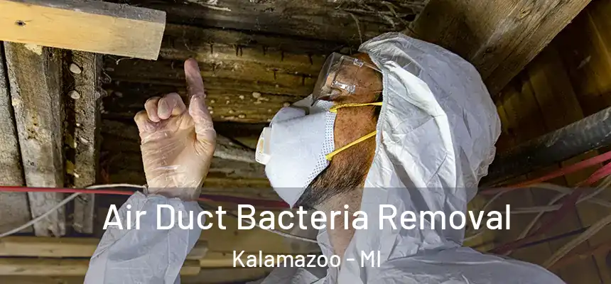  Air Duct Bacteria Removal Kalamazoo - MI