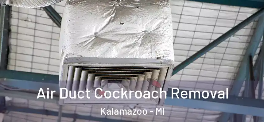  Air Duct Cockroach Removal Kalamazoo - MI