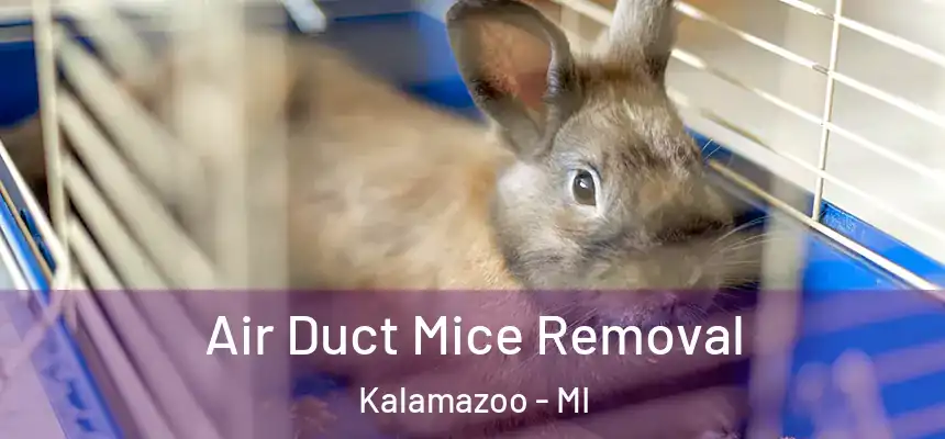  Air Duct Mice Removal Kalamazoo - MI