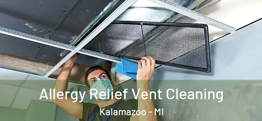 Allergy Relief Vent Cleaning Kalamazoo - MI