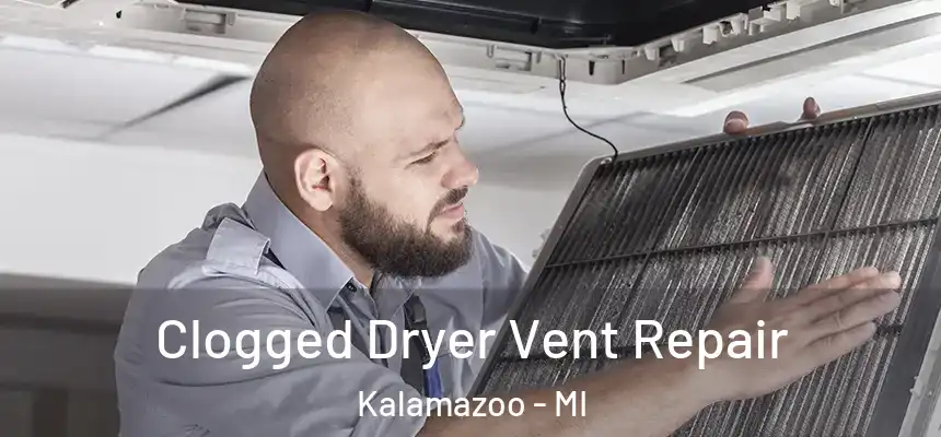  Clogged Dryer Vent Repair Kalamazoo - MI