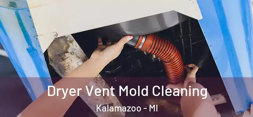 Dryer Vent Mold Cleaning Kalamazoo - MI
