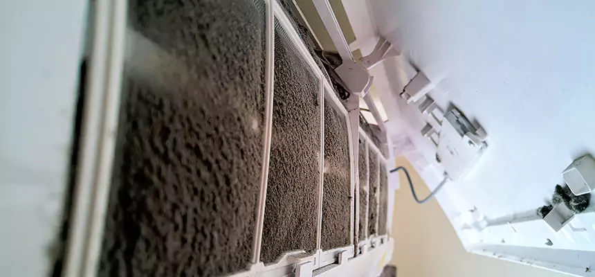 Preventive Air Duct Bacteria Removal in Kalamazoo