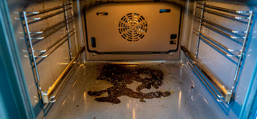 Our Dryer Vent Mold Cleaning Services in Kalamazoo, MI