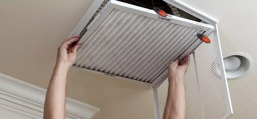 Our Insect Removal from Air Ducts Services in Kalamazoo, MI