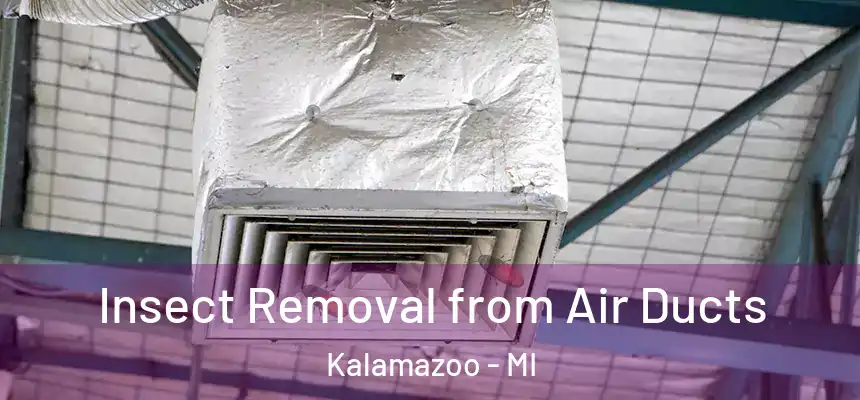 Insect Removal from Air Ducts Kalamazoo - MI