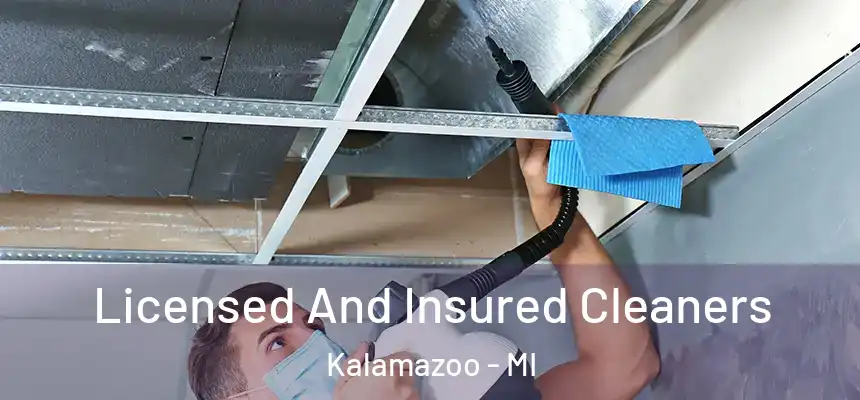 Licensed And Insured Cleaners Kalamazoo - MI