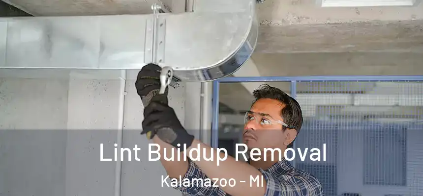  Lint Buildup Removal Kalamazoo - MI