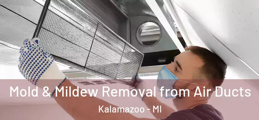  Mold & Mildew Removal from Air Ducts Kalamazoo - MI