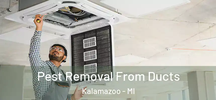  Pest Removal From Ducts Kalamazoo - MI