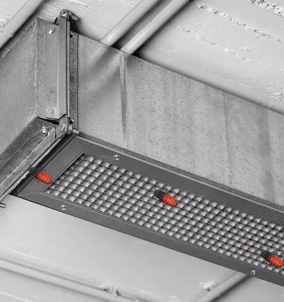 About Air Duct Cockroach Removal in Kalamazoo, MI