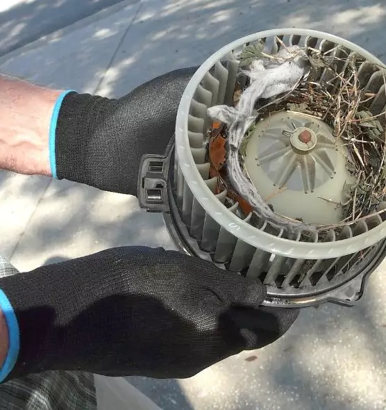 About Air Duct Mice Removal in Kalamazoo, MI