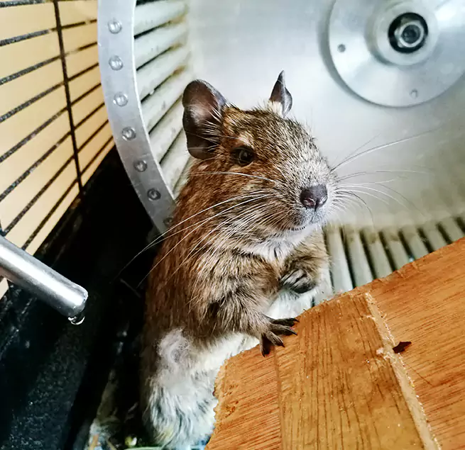 Why Homeowners & Businesses Trust Us Kalamazoo, MI